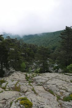 Holidays in southern Corsica..Discover the mountain landscapes of this beautiful region of France