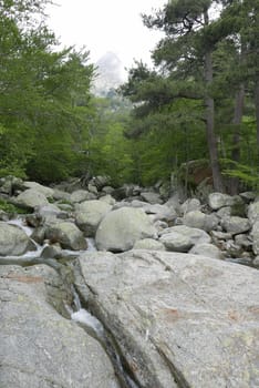 Holidays in southern Corsica..Discover the mountain landscapes of this beautiful region of France