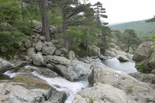 Holidays in southern Corsica..Discover the mountain landscapes of this beautiful region of France