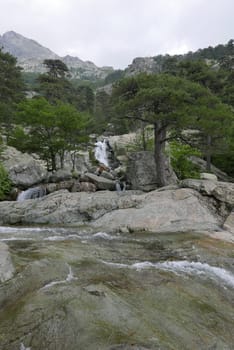 Holidays in southern Corsica..Discover the mountain landscapes of this beautiful region of France