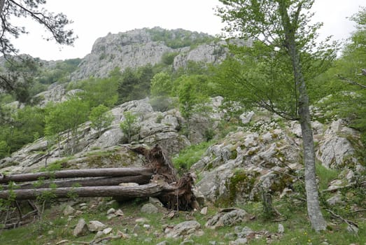 Holidays in southern Corsica..Discover the mountain landscapes of this beautiful region of France