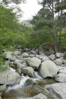 Holidays in southern Corsica..Discover the mountain landscapes of this beautiful region of France