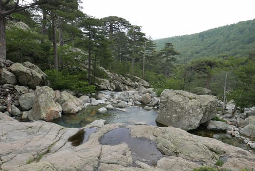 Holidays in southern Corsica..Discover the mountain landscapes of this beautiful region of France