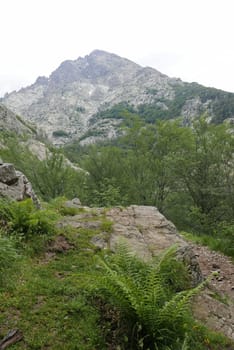 Holidays in southern Corsica..Discover the mountain landscapes of this beautiful region of France