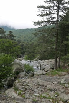 Holidays in southern Corsica..Discover the mountain landscapes of this beautiful region of France