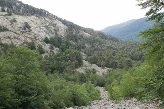 Holidays in southern Corsica..Discover the mountain landscapes of this beautiful region of France