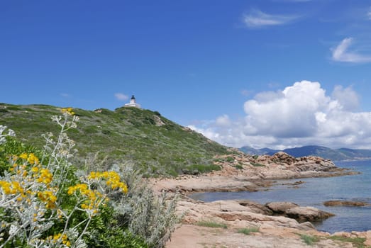 Holidays in southern Corsica..Discovery of the Sanguinaires Islands, next to the city of Ajaccio