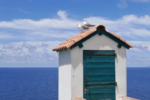 Holidays in southern Corsica..Discovery of the Sanguinaires Islands, next to the city of Ajaccio