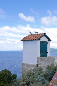 Holidays in southern Corsica..Discovery of the Sanguinaires Islands, next to the city of Ajaccio