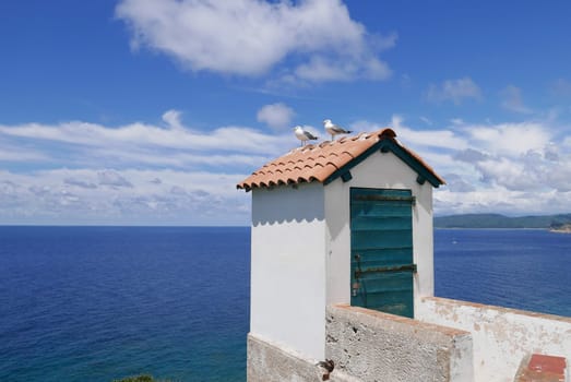 Holidays in southern Corsica..Discovery of the Sanguinaires Islands, next to the city of Ajaccio