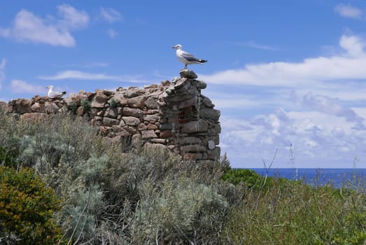 Holidays in southern Corsica..Discovery of the Sanguinaires Islands, next to the city of Ajaccio