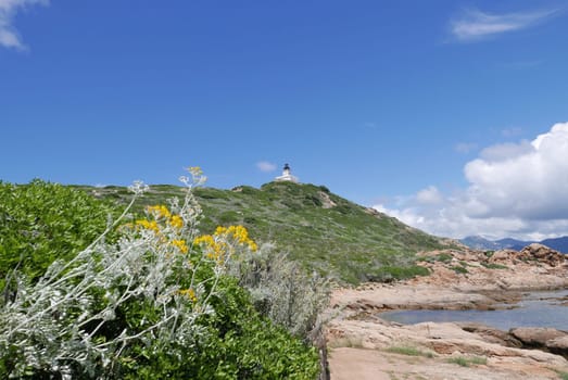 Holidays in southern Corsica..Discovery of the Sanguinaires Islands, next to the city of Ajaccio