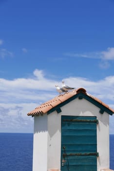Holidays in southern Corsica..Discovery of the Sanguinaires Islands, next to the city of Ajaccio