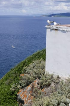 Holidays in southern Corsica..Discovery of the Sanguinaires Islands, next to the city of Ajaccio