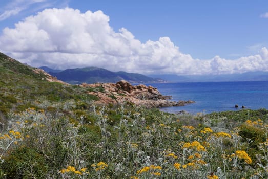 Holidays in southern Corsica..Discovery of the Sanguinaires Islands, next to the city of Ajaccio