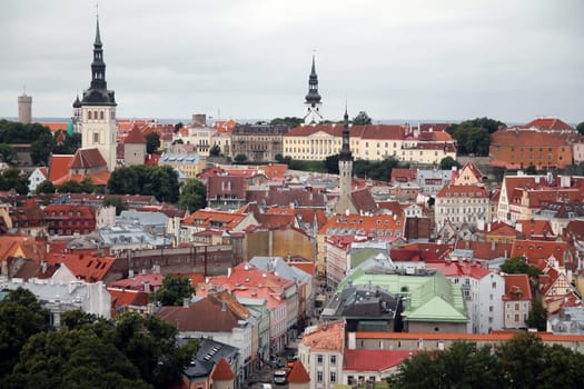 Downtown historical medieval Tallinn skyline with colored houses