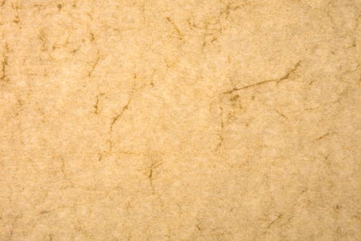 Macro from Ivory Paper from above in Detail