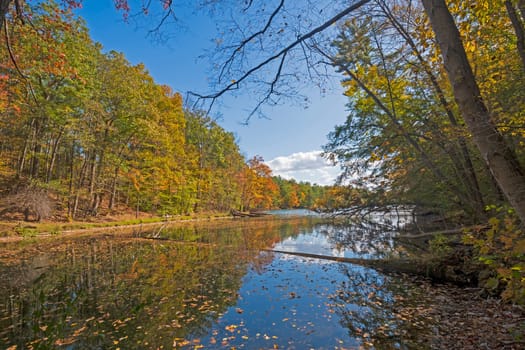 Shade, Shadows, and Reflections on a Fall Lake in Chenango Valeey State Park in New York