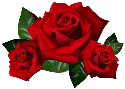 roses floral beautiful nature illustration