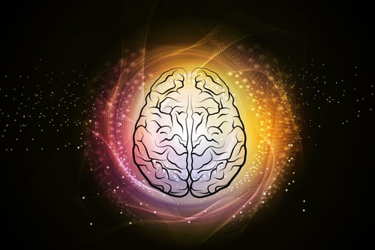 Human brain structure