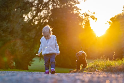happy child with their dog enjoy play in autumn park
