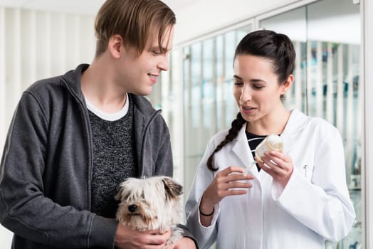 Female veterinarian holding injection in hospital