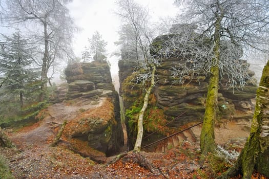 Sandstone rocks in the Elbe Sandstone Mountains with hoarfrost in the fog