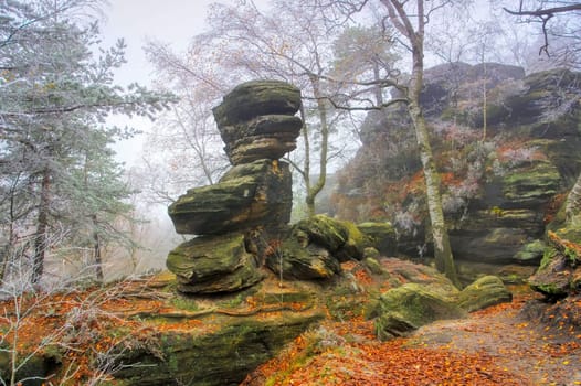 Sandstone rocks in the Elbe Sandstone Mountains with hoarfrost in the fog