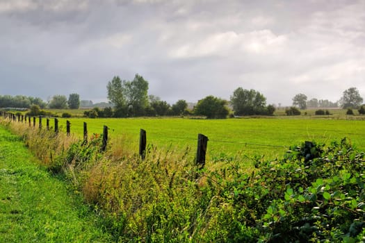 a green pasture on the island of Poel in northern Germany