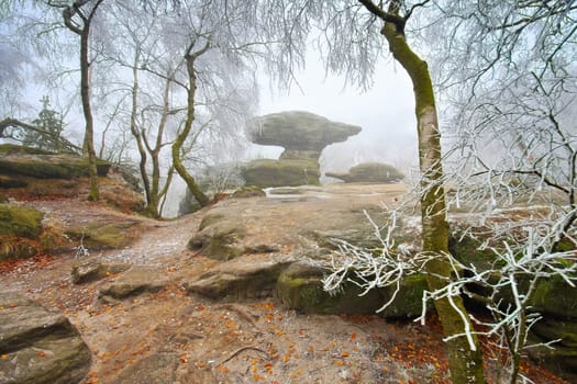 Sandstone rocks in the Elbe Sandstone Mountains with hoarfrost in the fog