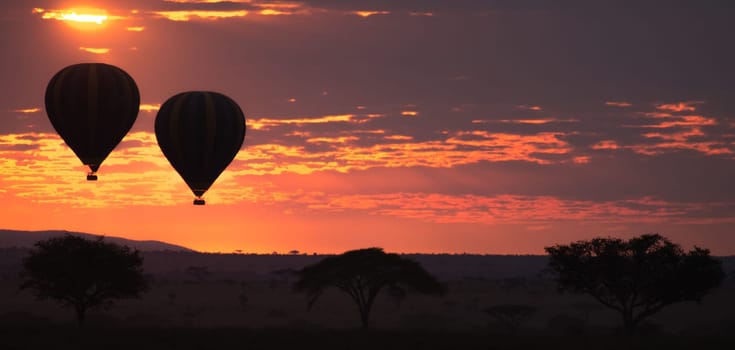 Dawn at Serengeti National Park, Tanzania, Africa. Hot air balloons on sky. African panorama