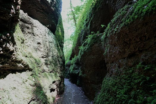 Hiking trail through the Dragon Gorge in the Thuringian Forest near Eisenach
