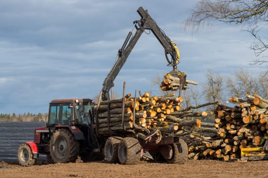 Loader unloads logs out of a timber truck