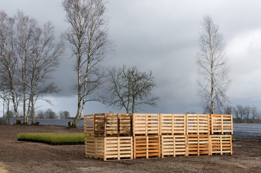 Empty wooden boxes loaded in the pile