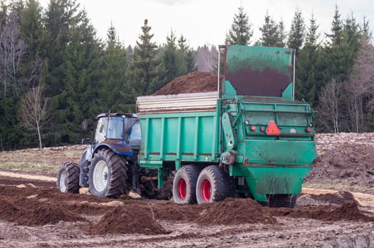 Preparing beds for planting blueberries. Somewhere in Lithuania.