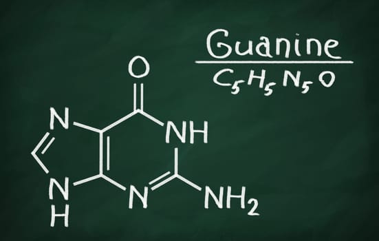 Structural model of Guanine on the blackboard.