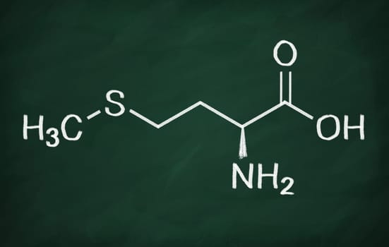 Structural model of Methionine on the blackboard.