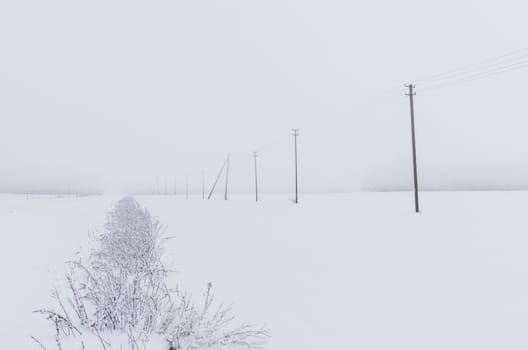 The road and poles drowned in the fog