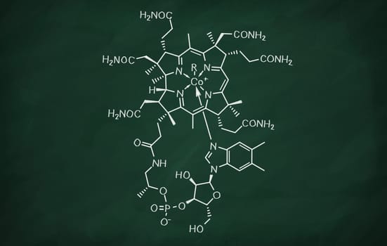 Structural model of Cobalamin on the blackboard.