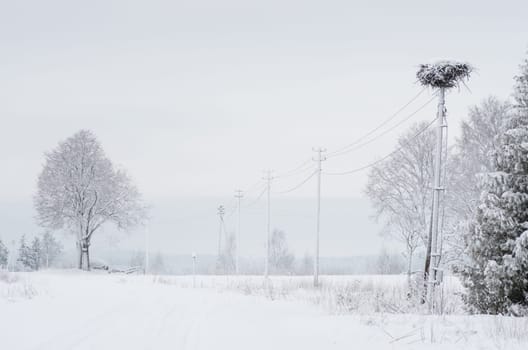 Winter landscape of fields and trees covered with snow