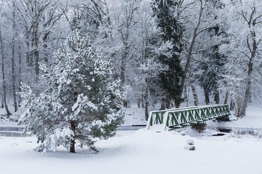 Winter day landscape with river and forest.