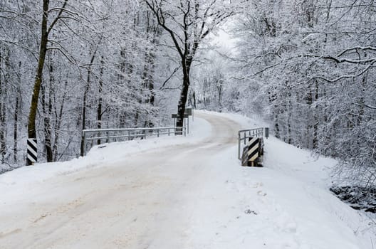 Road covered winter snow in the forest
