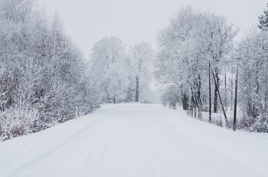 Road covered winter snow in the forest