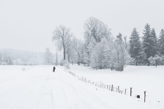 Road covered winter snow in the field