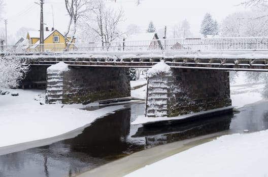 Winter forest with a cool bridge and trees