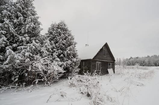 Winter landscape of fields and trees covered with snow and old homestead