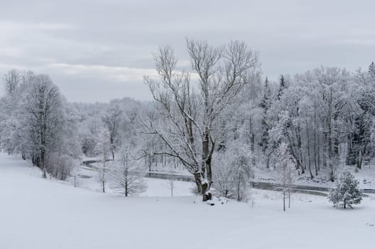 Winter day landscape with river and forest.