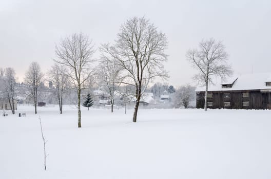 Snow covered countryside with trees and buildings