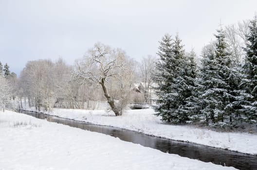Small river with white snow covered trees