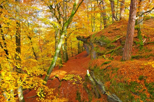 Altschlossfelsen rock in Dahn Rockland in autumn, Germany